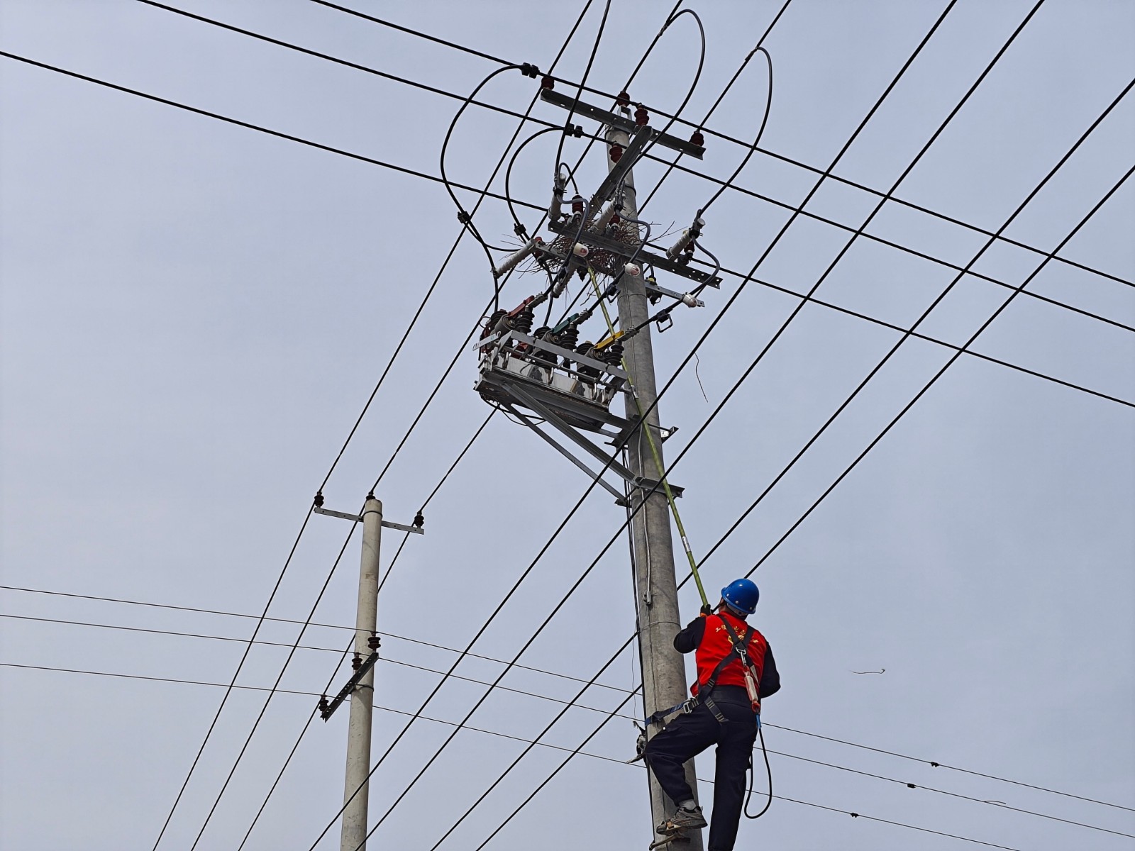 1711417392314076734.jpg 清除鳥(niǎo)窩專(zhuān)項行動(dòng)1.jpg